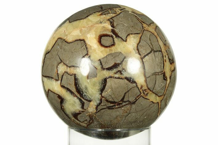 Polished Septarian Sphere - Madagascar #227561